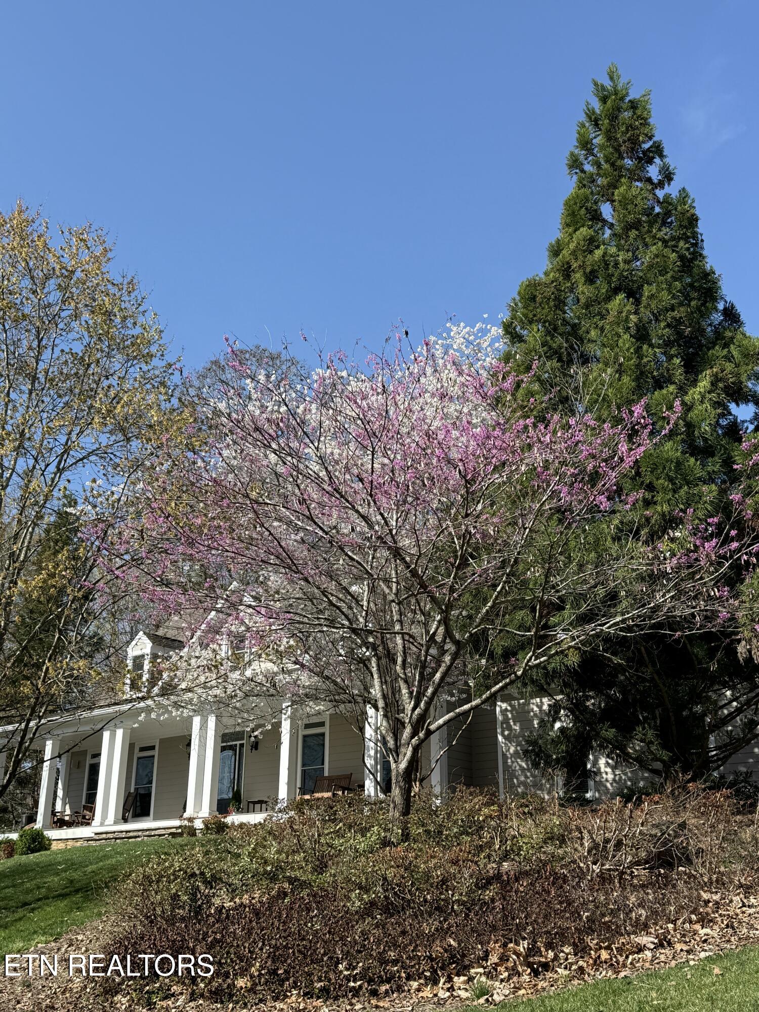 186 Lake Crest Drive