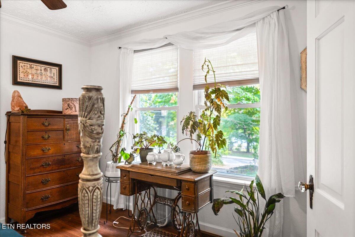 703 Midlake Drive