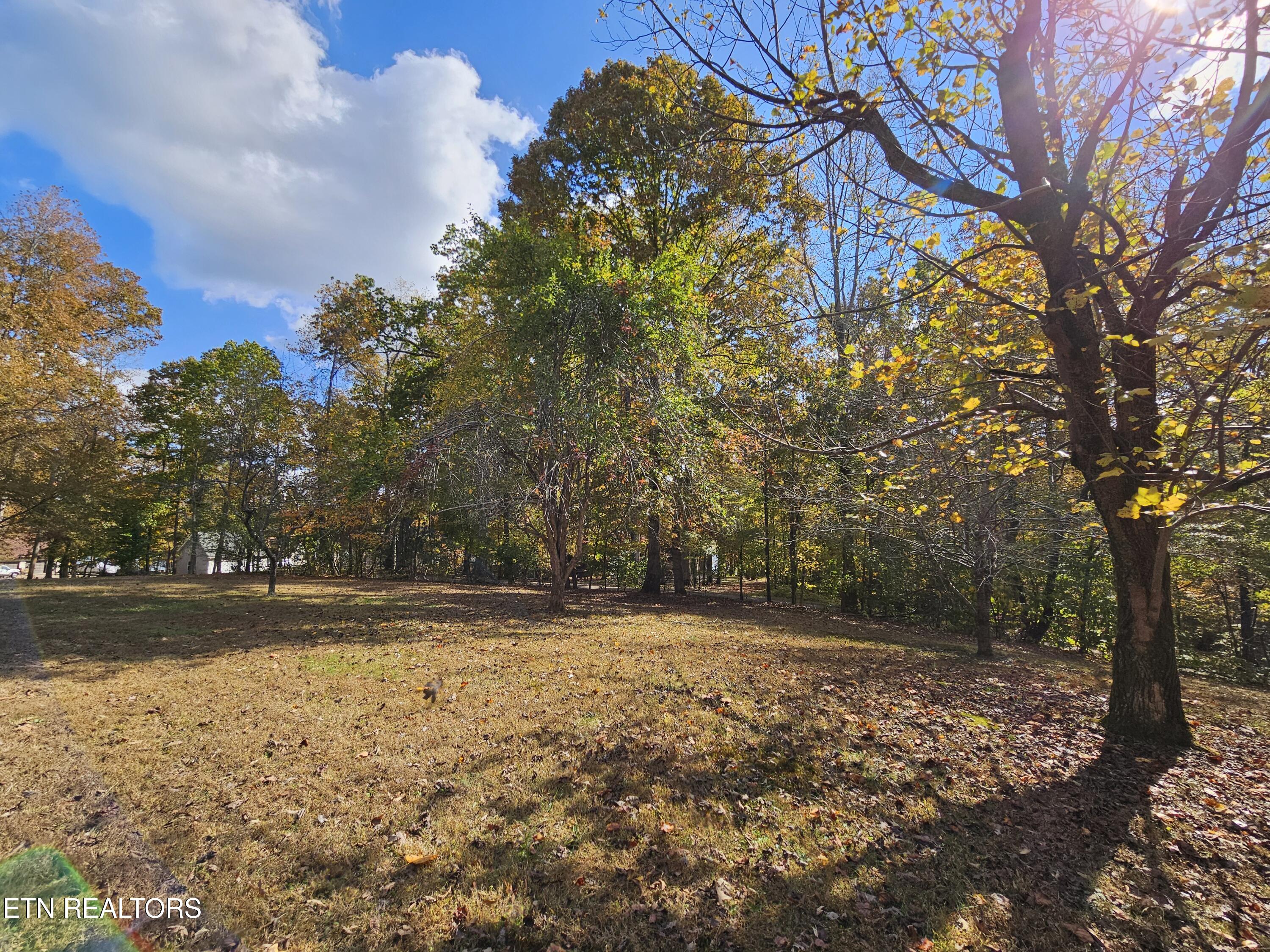 240 W Rockwood Ferry Rd