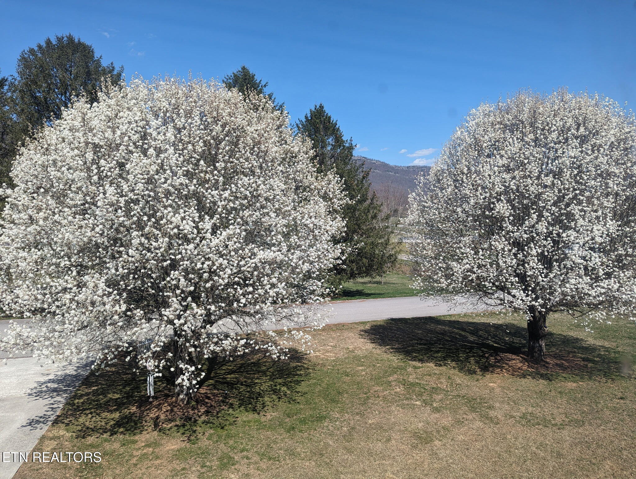 113 Thacker Drive, LaFollette