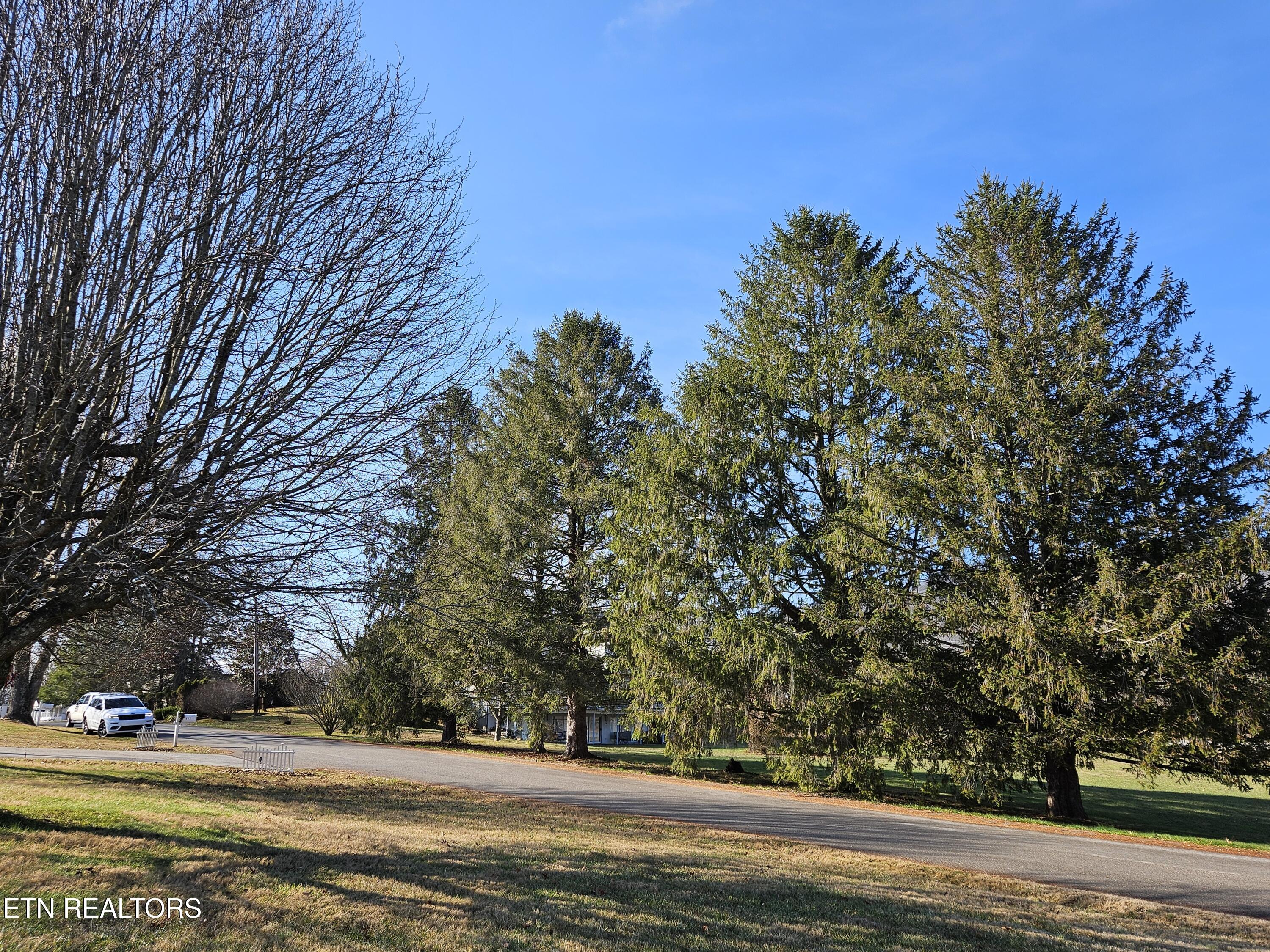 113 Thacker Drive, LaFollette