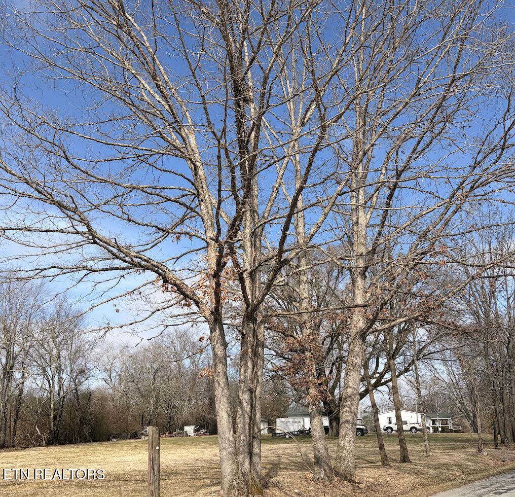 65 Dorton Access Rd