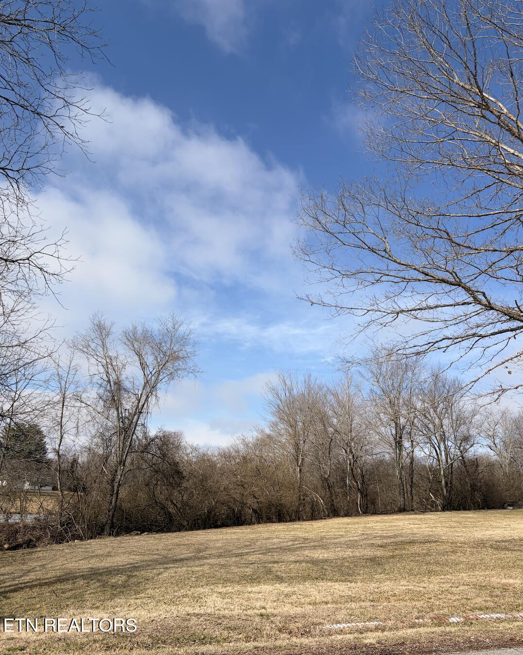 65 Dorton Access Rd