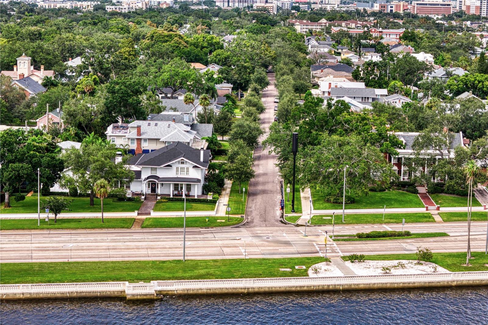 Aerial view of a tree-lined residential street beside the water, with city buildings in the distance.