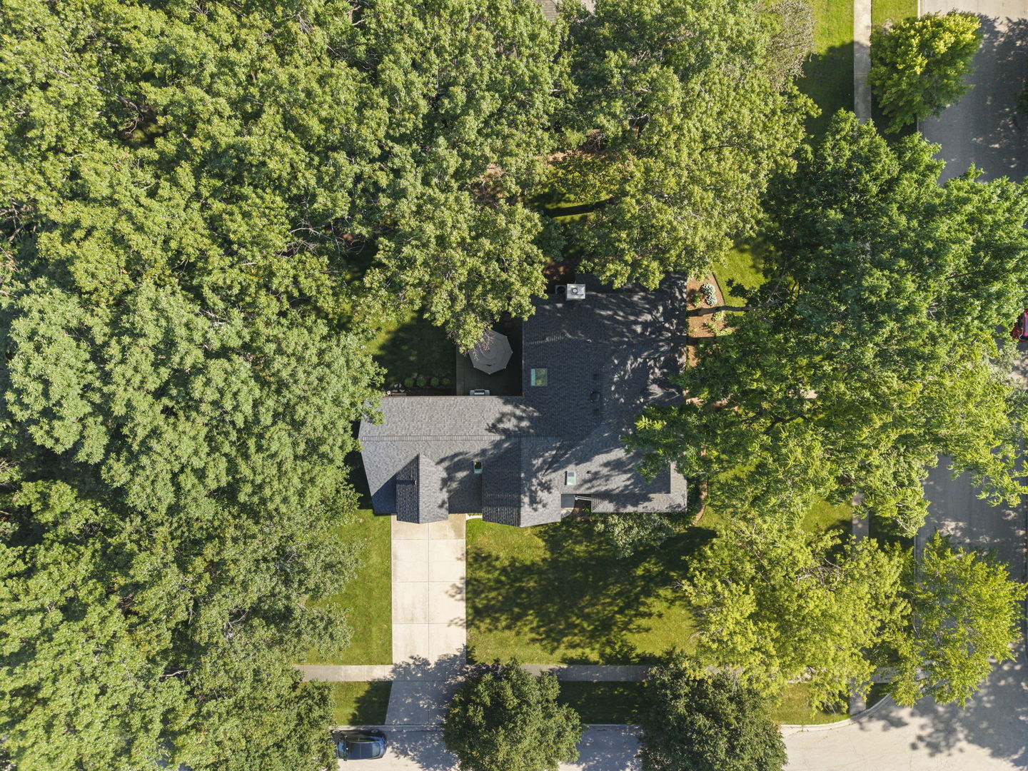 443 Timber Ridge Drive