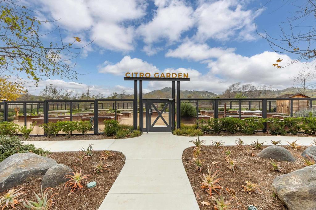 227 Canopy Trails Place