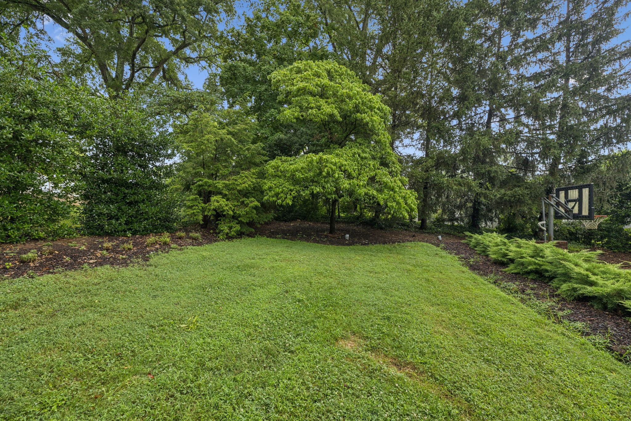 114 Dunham Springs Ln