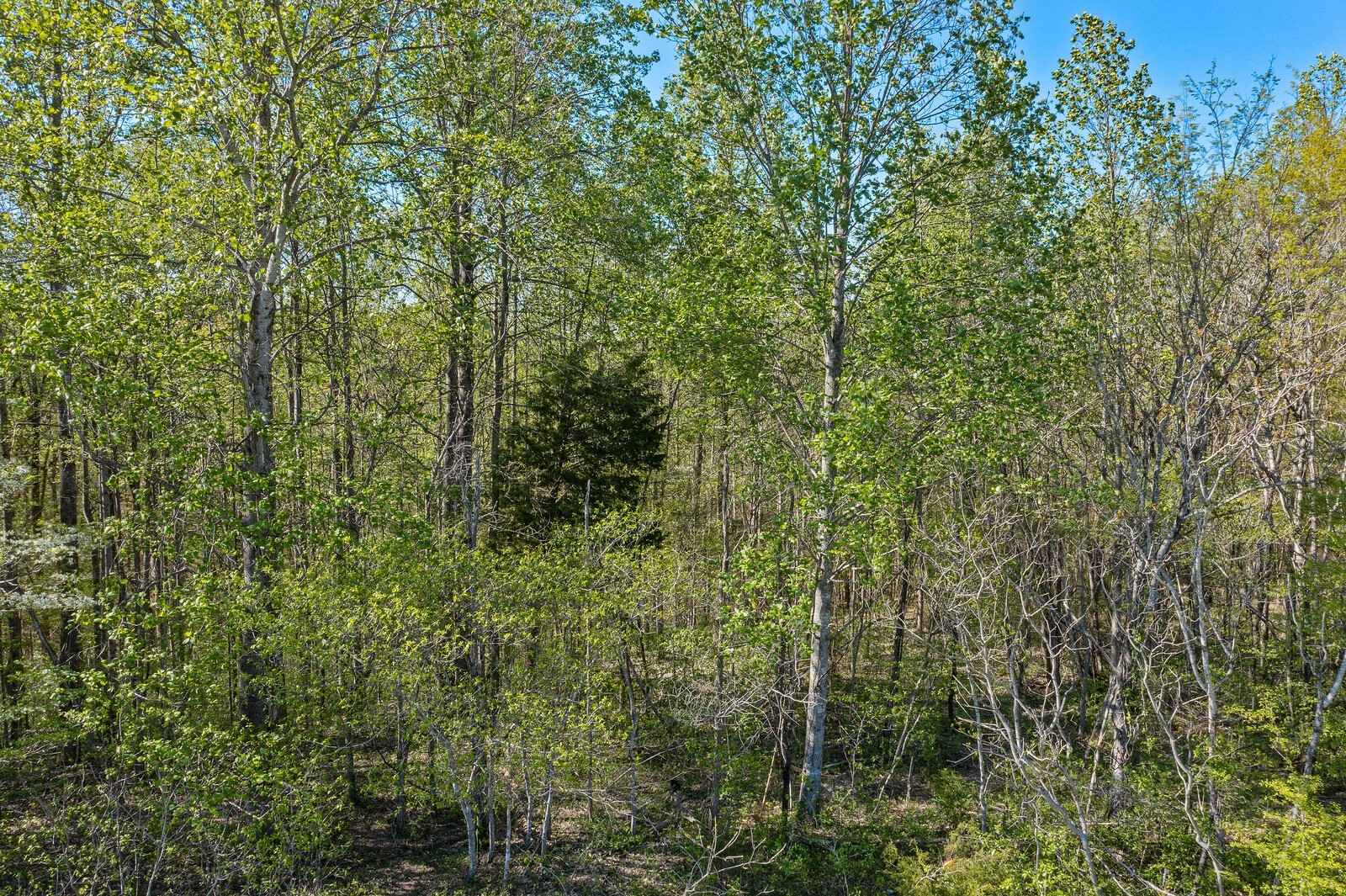 5522 Parker Branch Rd