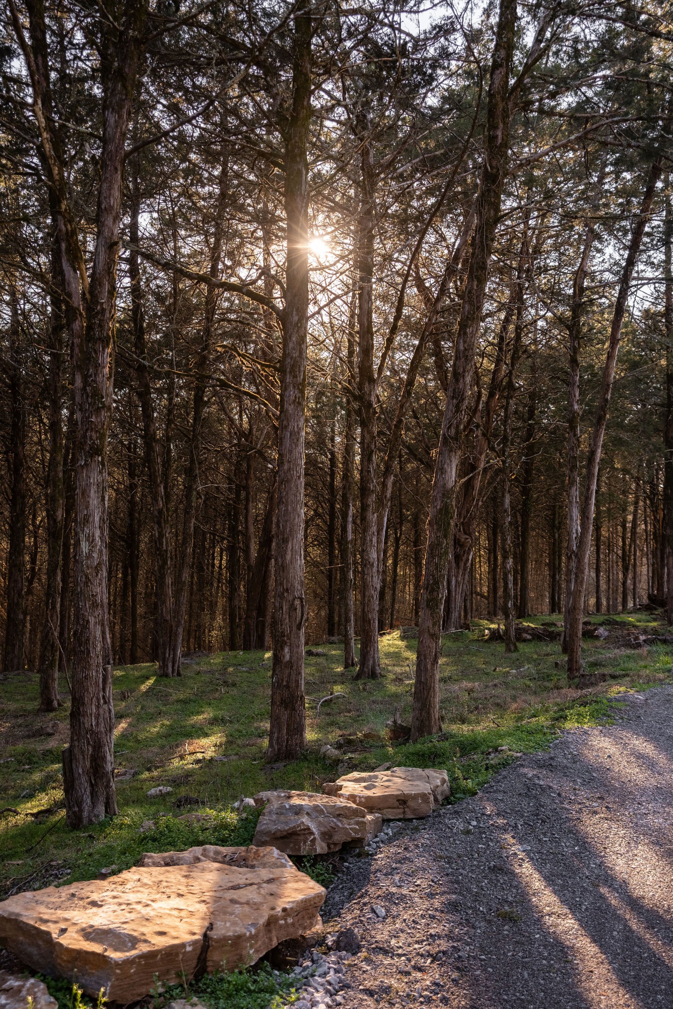 3239 Kinnard Springs Rd