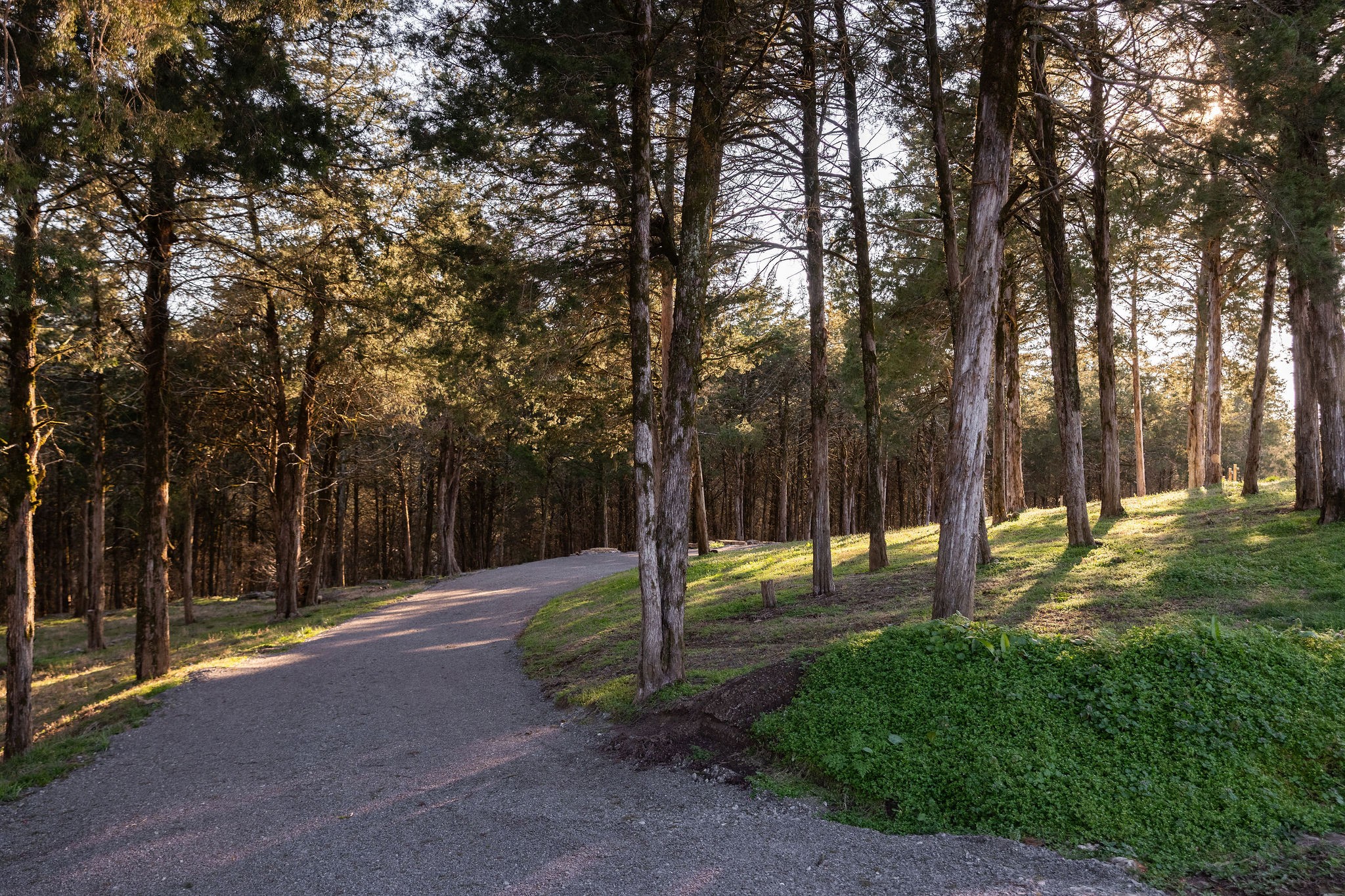 3239 Kinnard Springs Rd