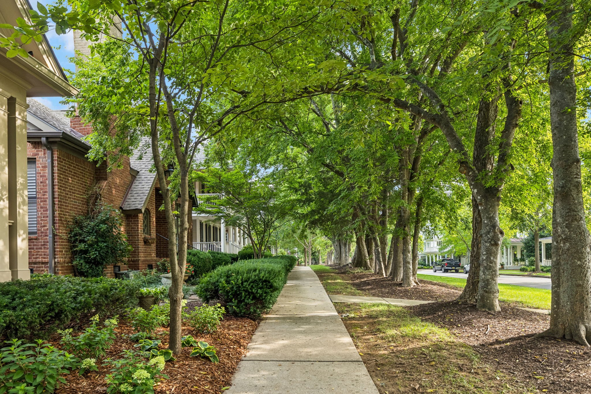 321 Starling Ln