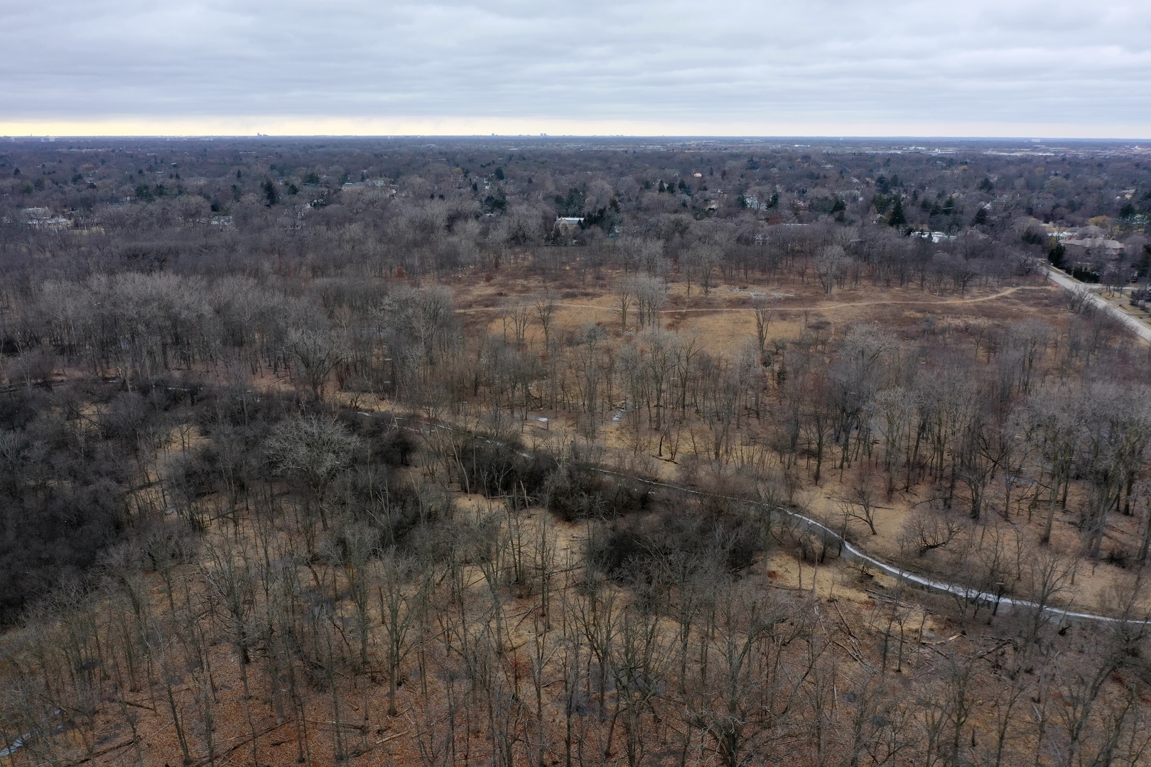 5040 ARBOR Lane Unit: 301