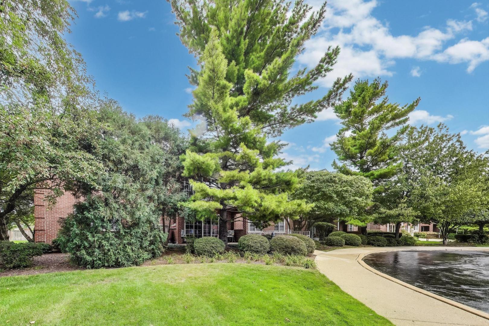 1234 Depot Street Unit: 203
