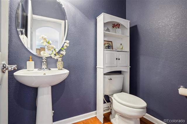 2605 Gray Wolf Loop