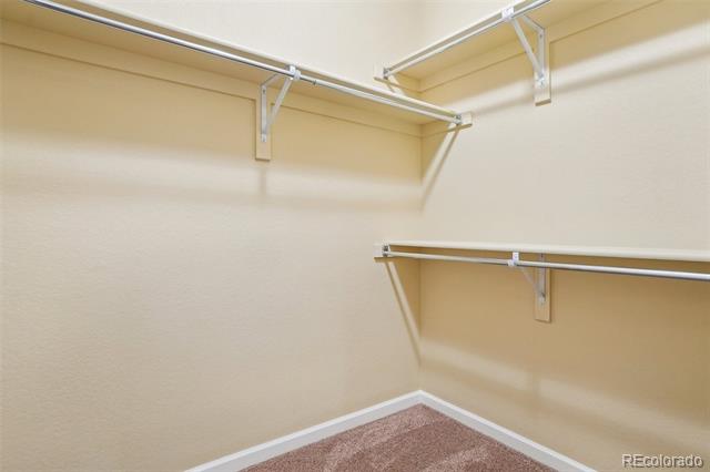 2605 Gray Wolf Loop