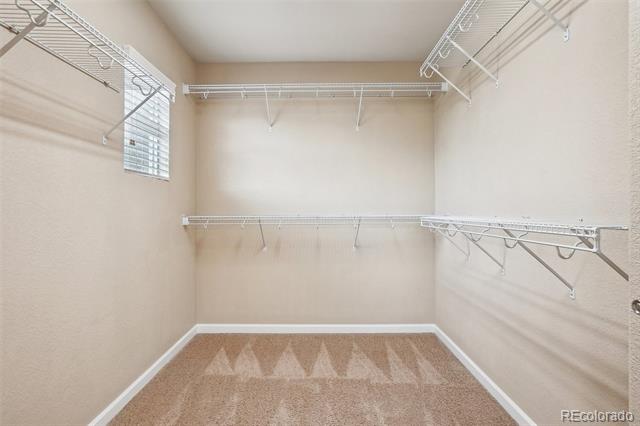 2605 Gray Wolf Loop