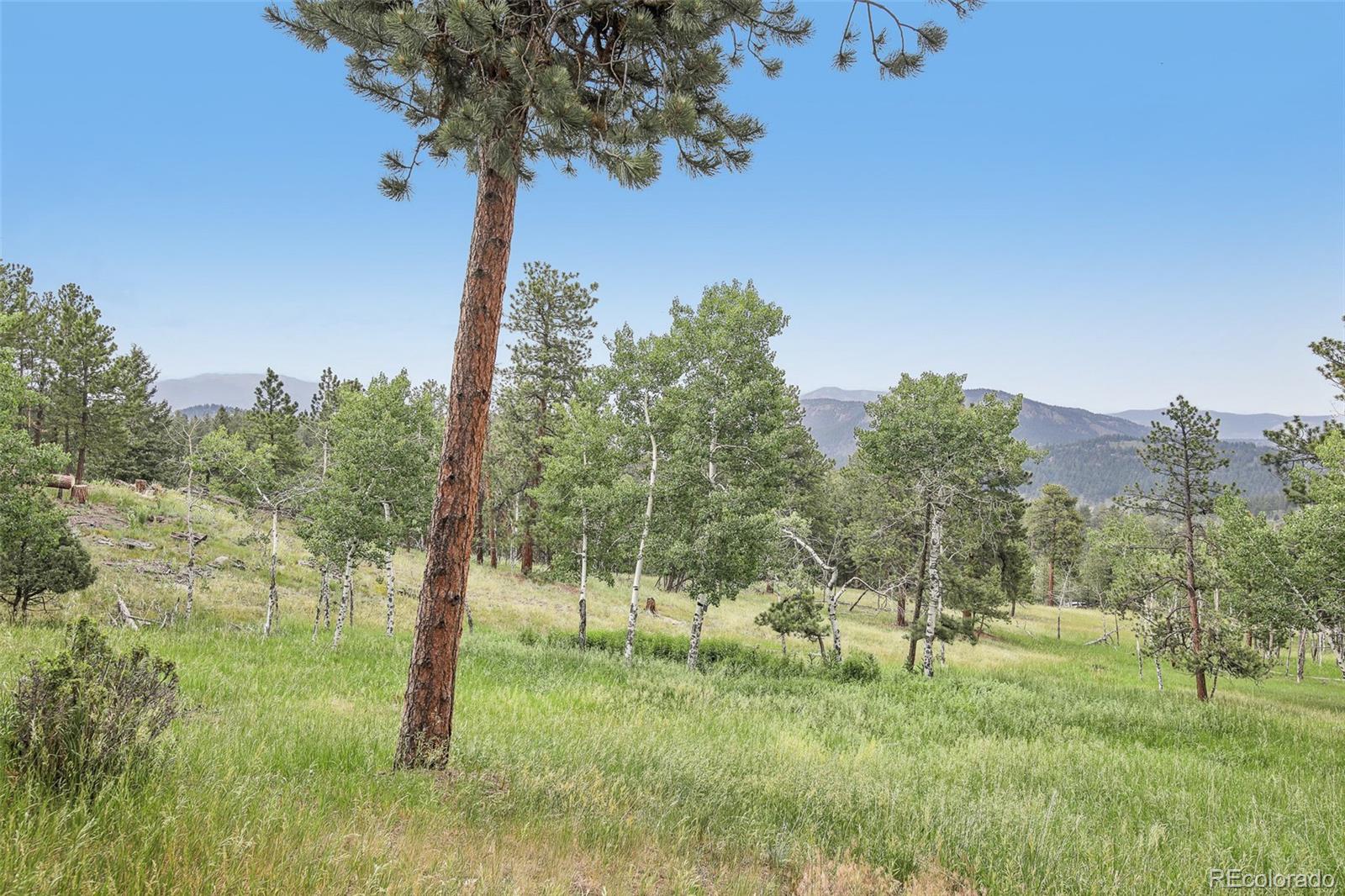 278 Overlook Drive