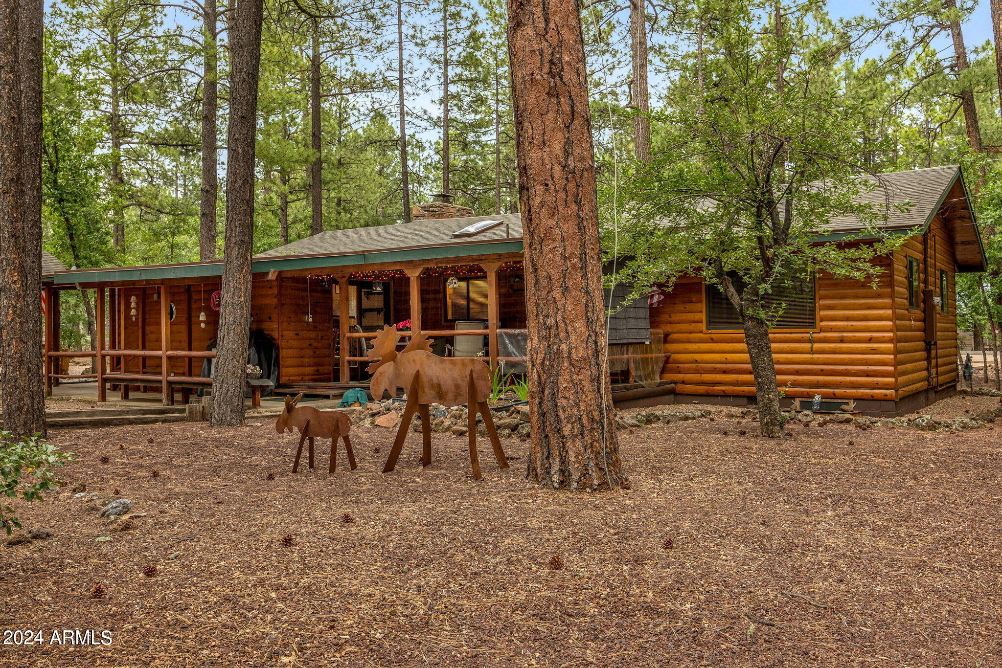 6566 Tall Pine Drive