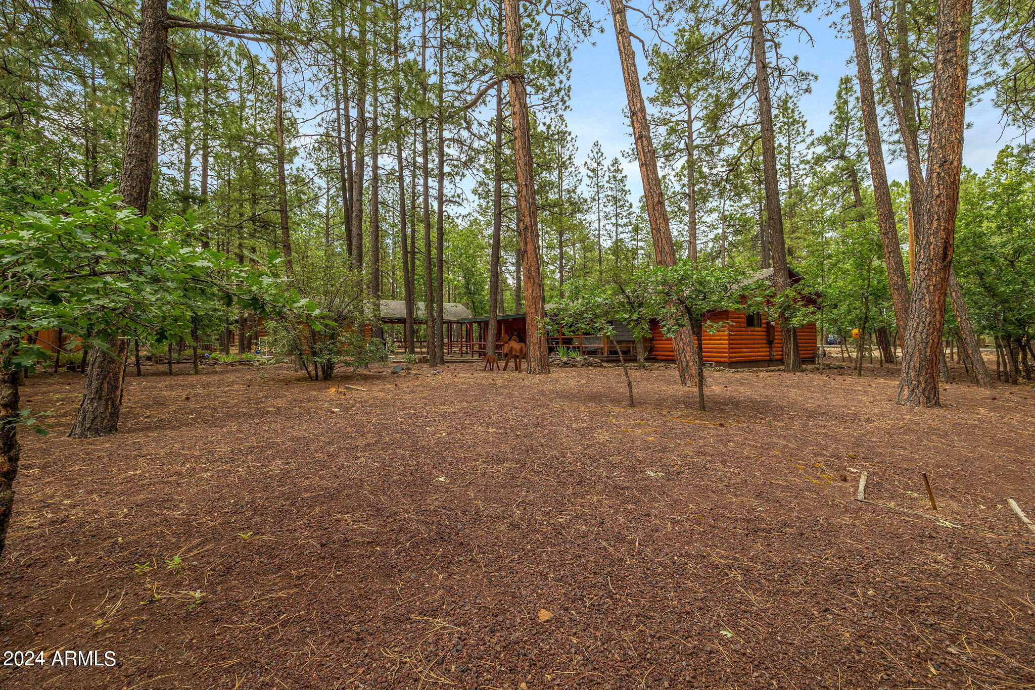 6566 Tall Pine Drive