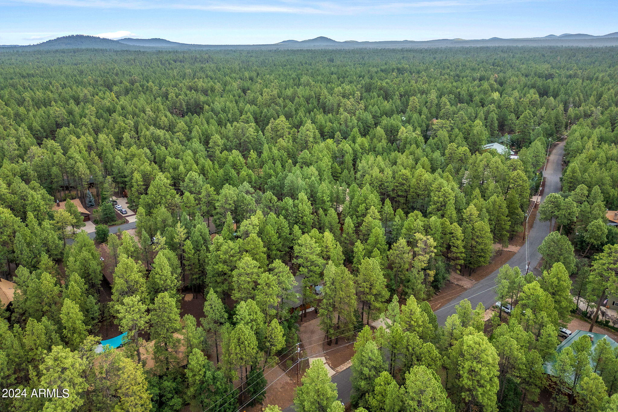 6566 Tall Pine Drive