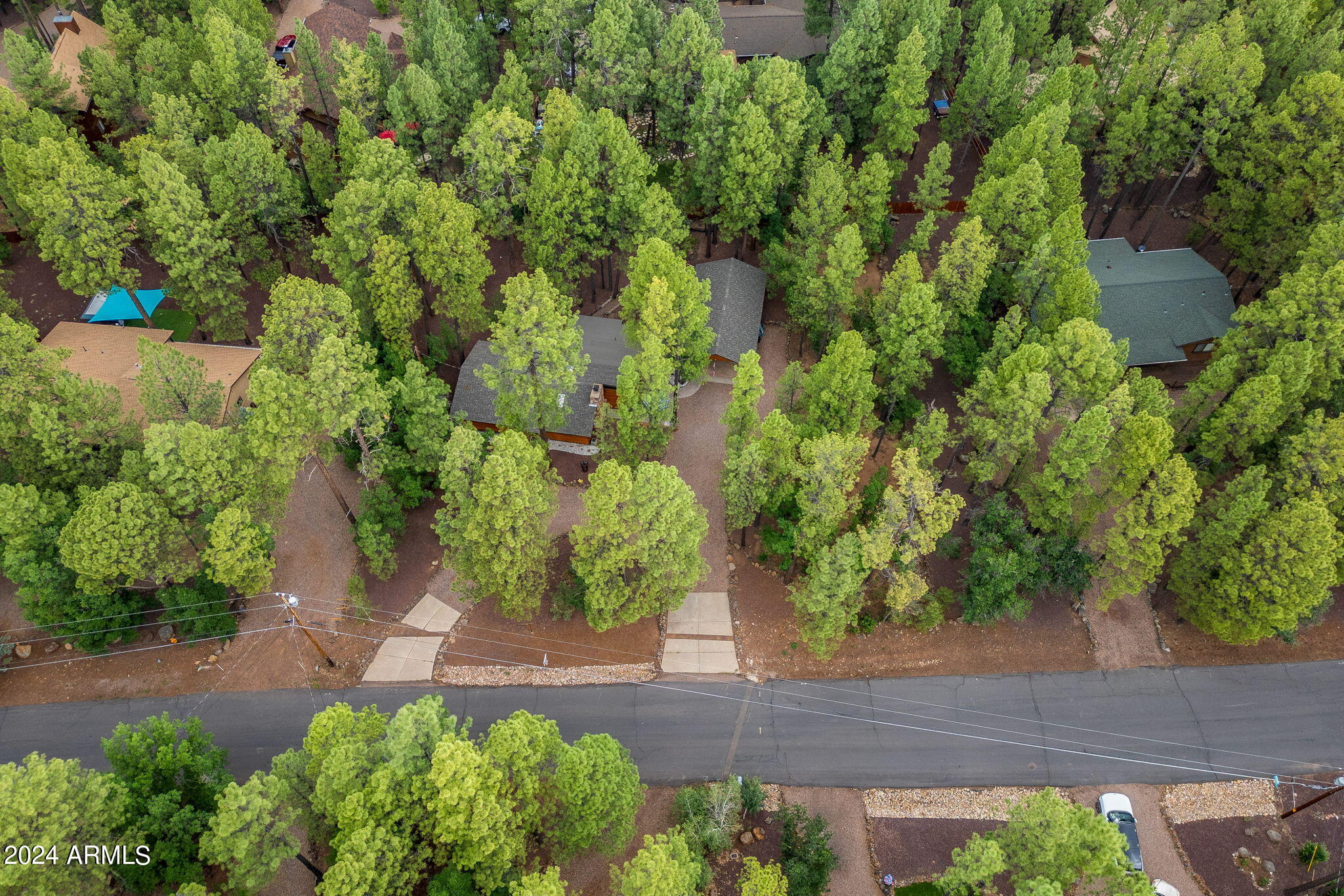 6566 Tall Pine Drive