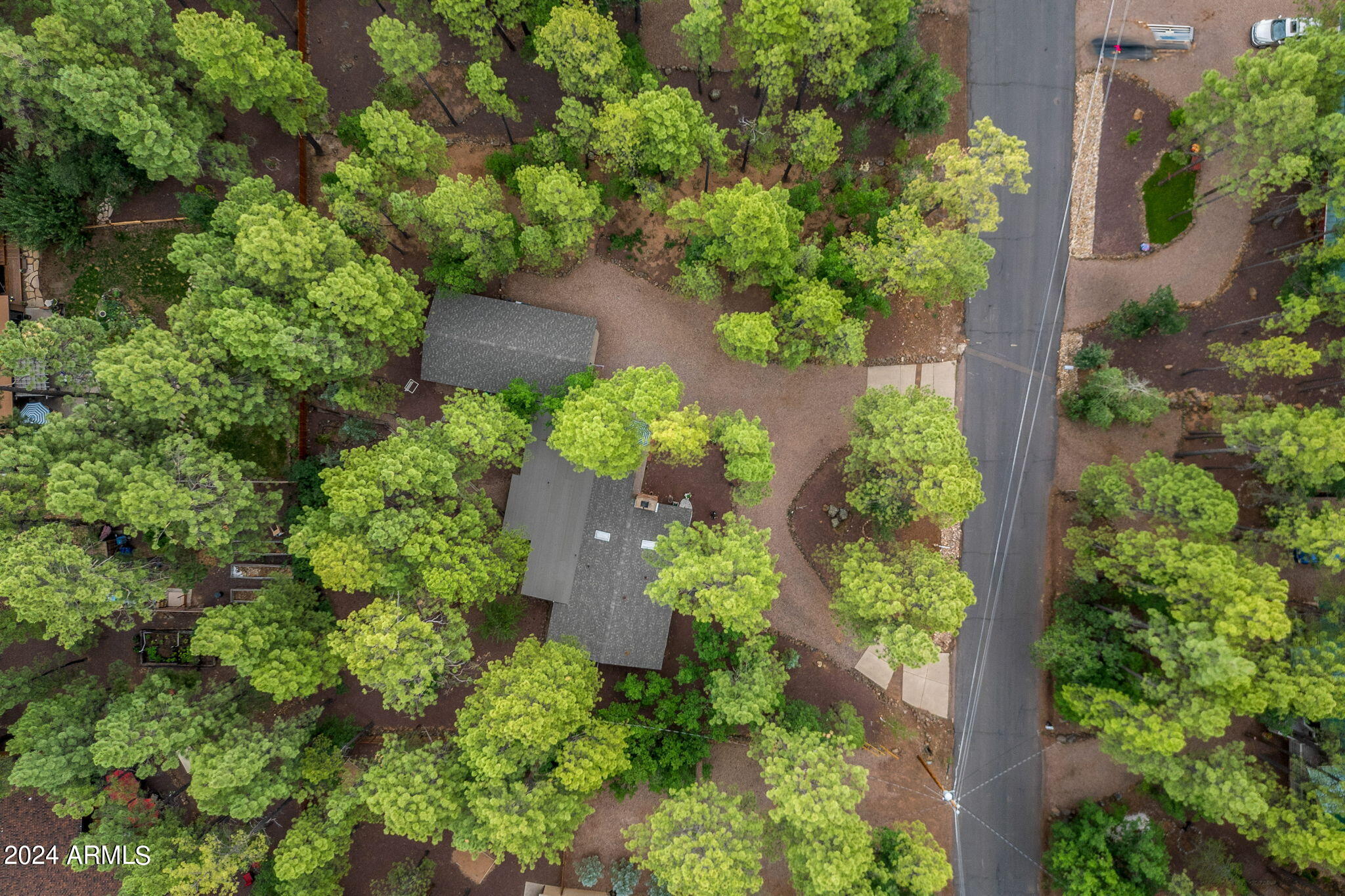 6566 Tall Pine Drive