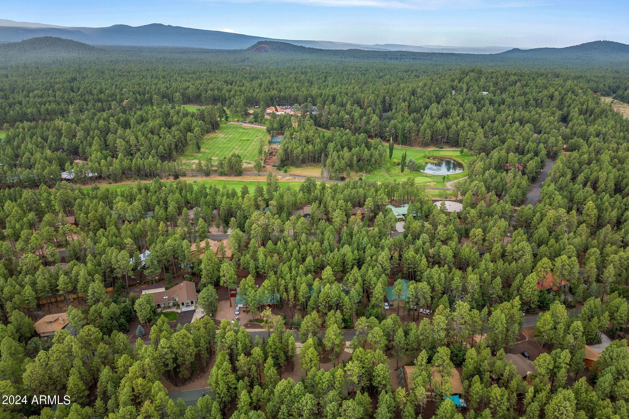 6566 Tall Pine Drive