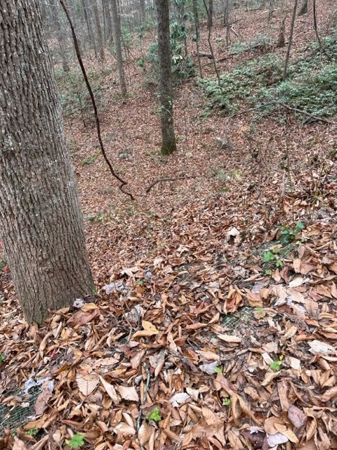 Lot 5 Hickory Hollow Way Way