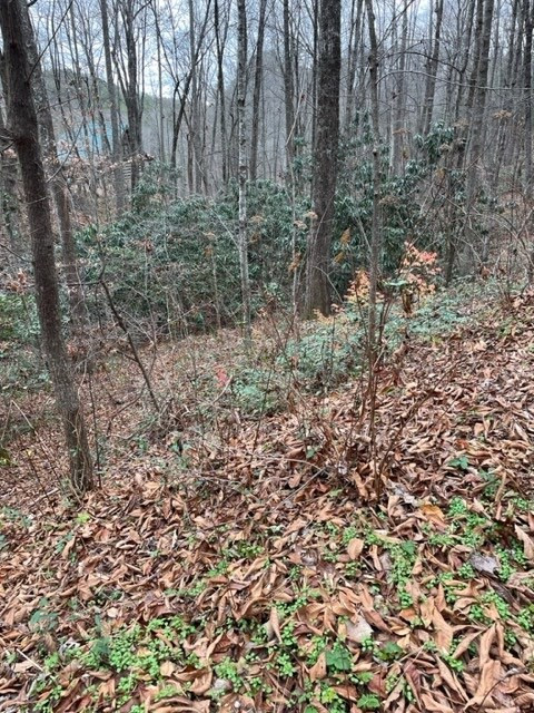 Lot 5 Hickory Hollow Way Way