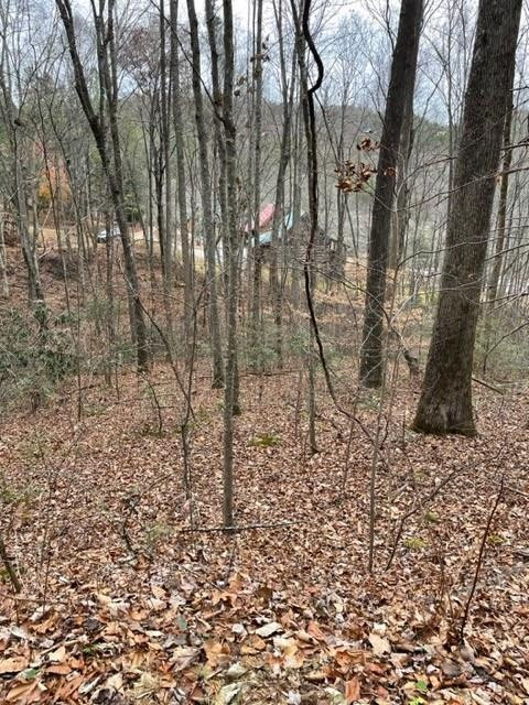 Lot 5 Hickory Hollow Way Way