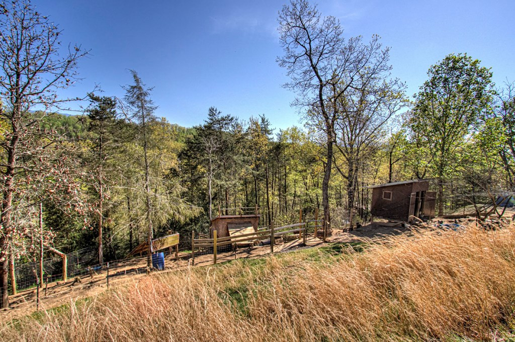 2035 Mountain Spring Way Way