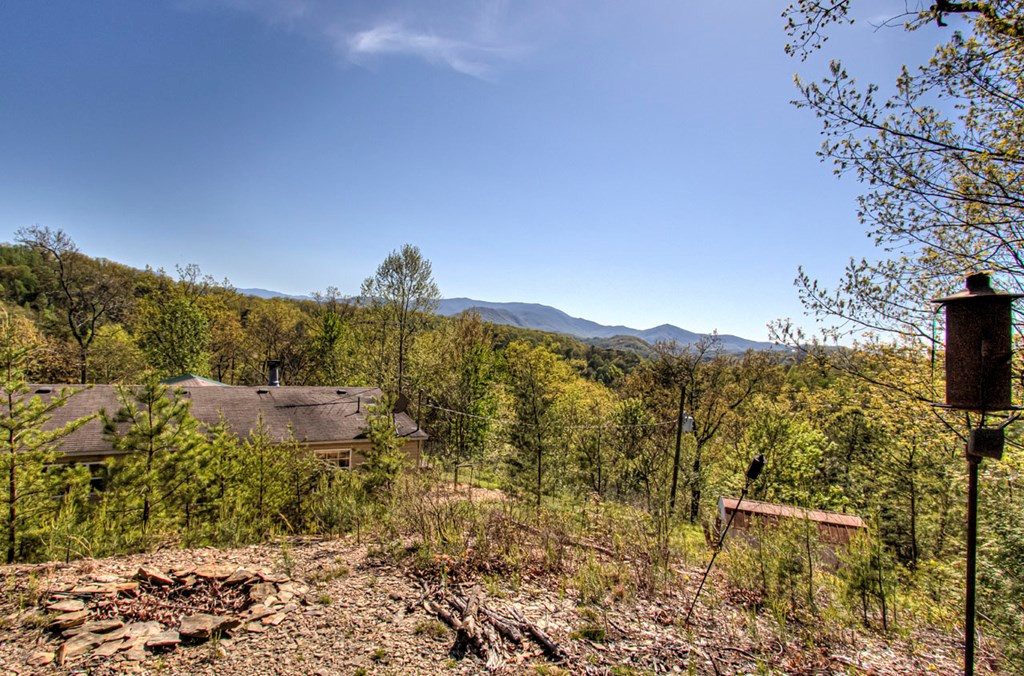 2035 Mountain Spring Way Way