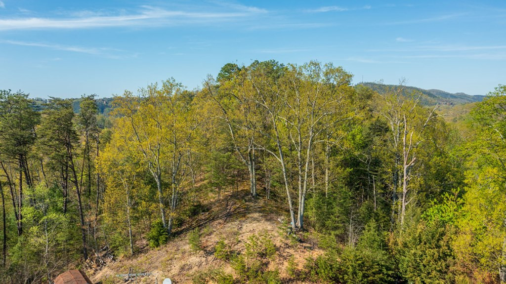 2035 Mountain Spring Way Way