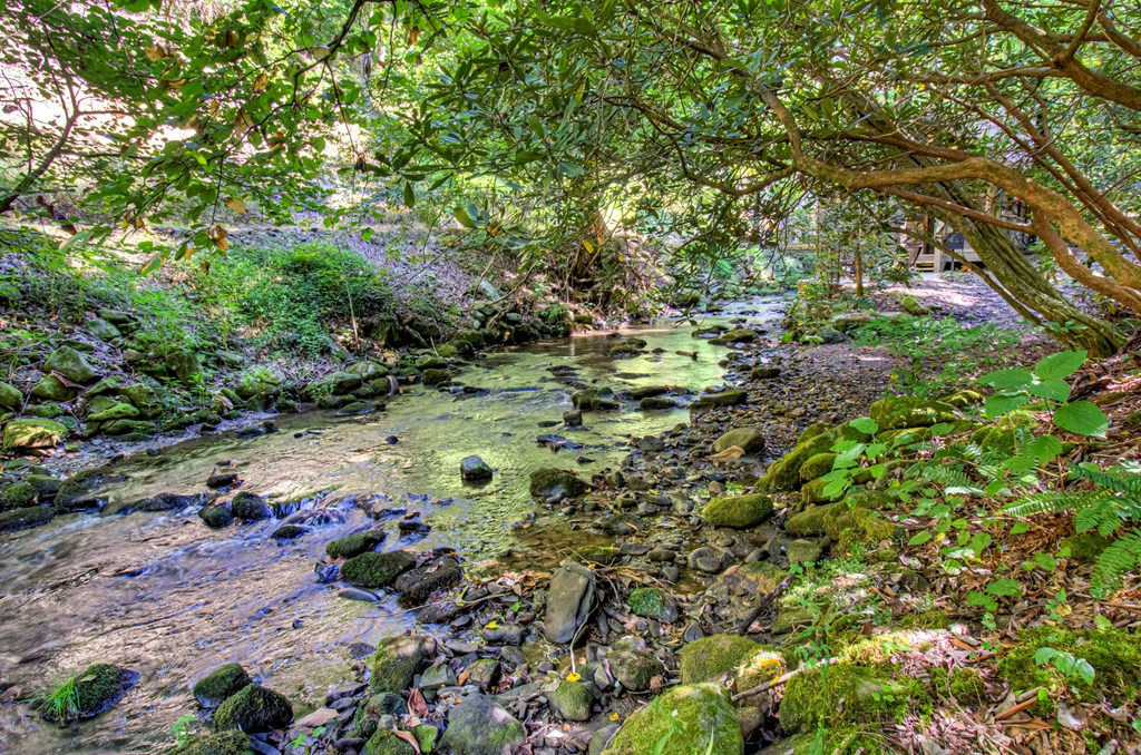 4519 Scenic Drive Drive