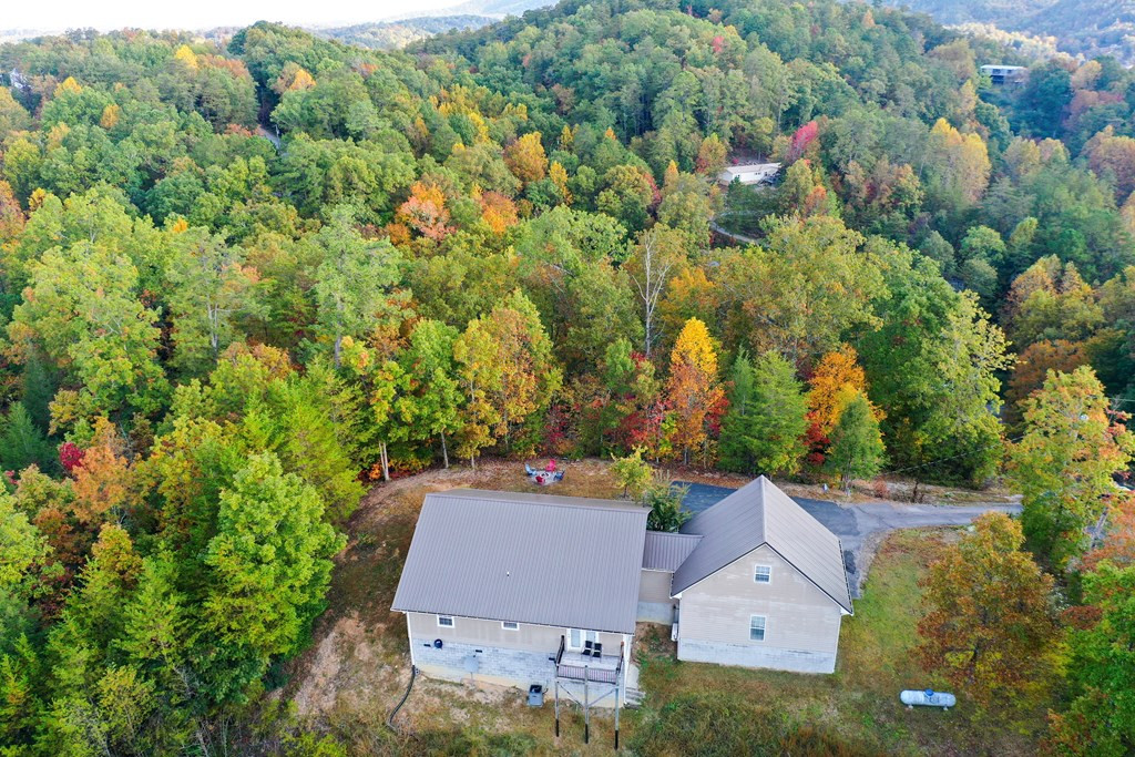 1420 Red Cedar Lane Lane