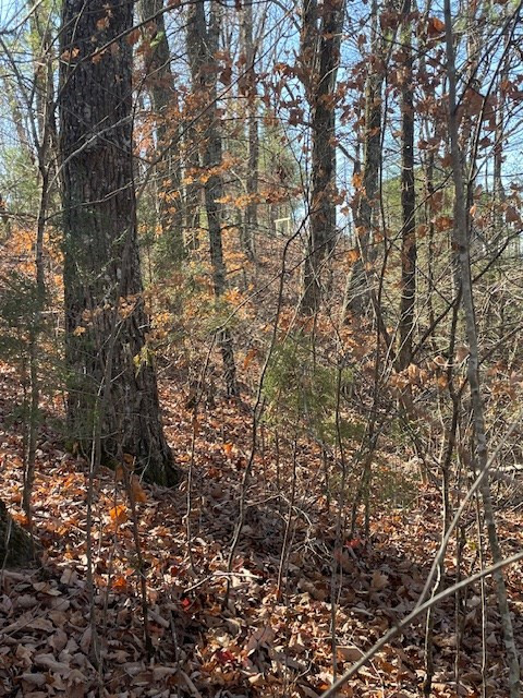 Lot 27R1 Jada Lane Lane