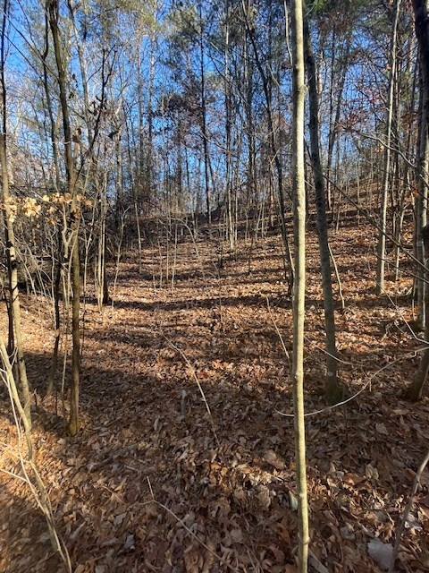 Lot 27R1 Jada Lane Lane