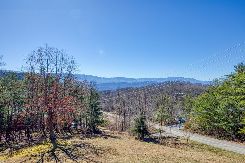 1054 Alpine Drive Drive