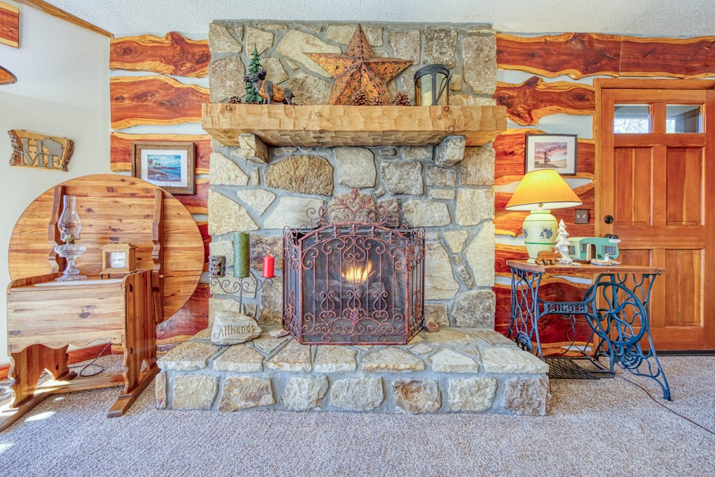 1054 Alpine Drive Drive