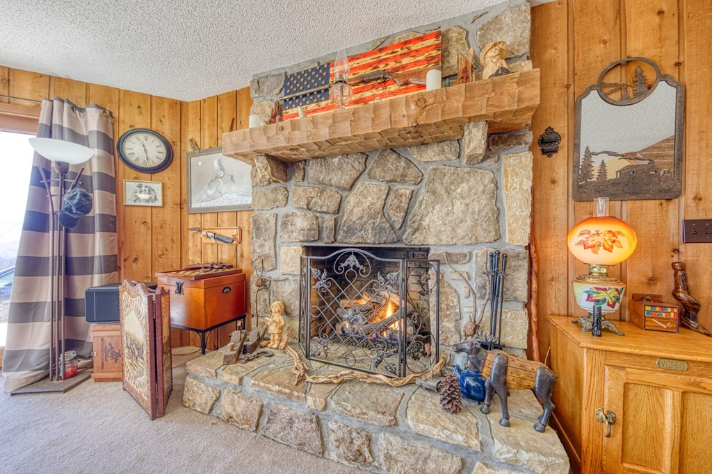 1054 Alpine Drive Drive