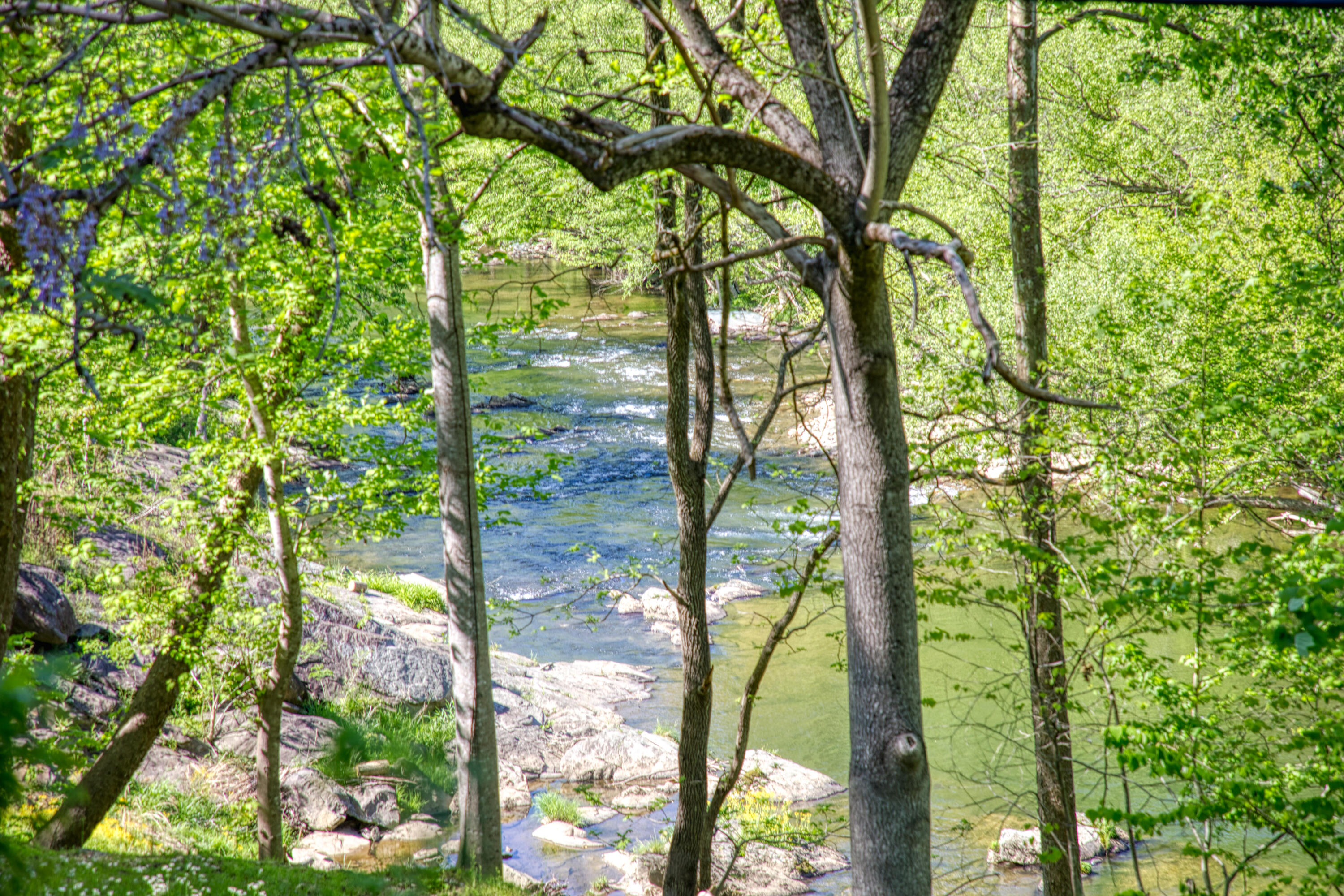 3654 Pittman Center Rd.