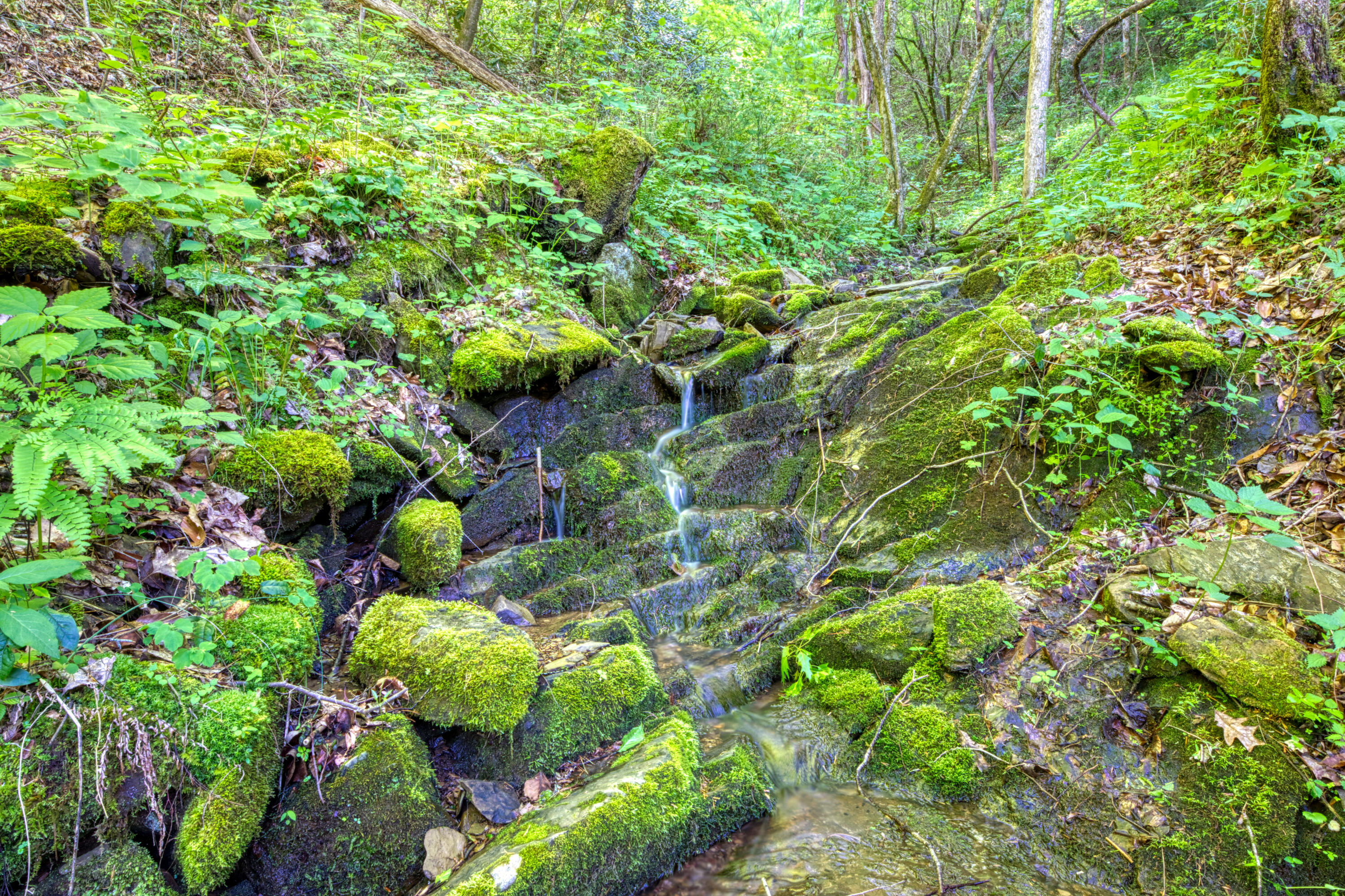 3654 Pittman Center Rd.