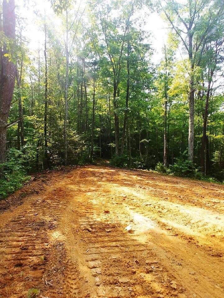 Lot 10 Newcombe Branch Road Road