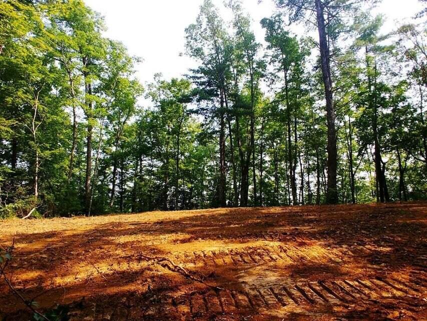 Lot 10 Newcombe Branch Road Road