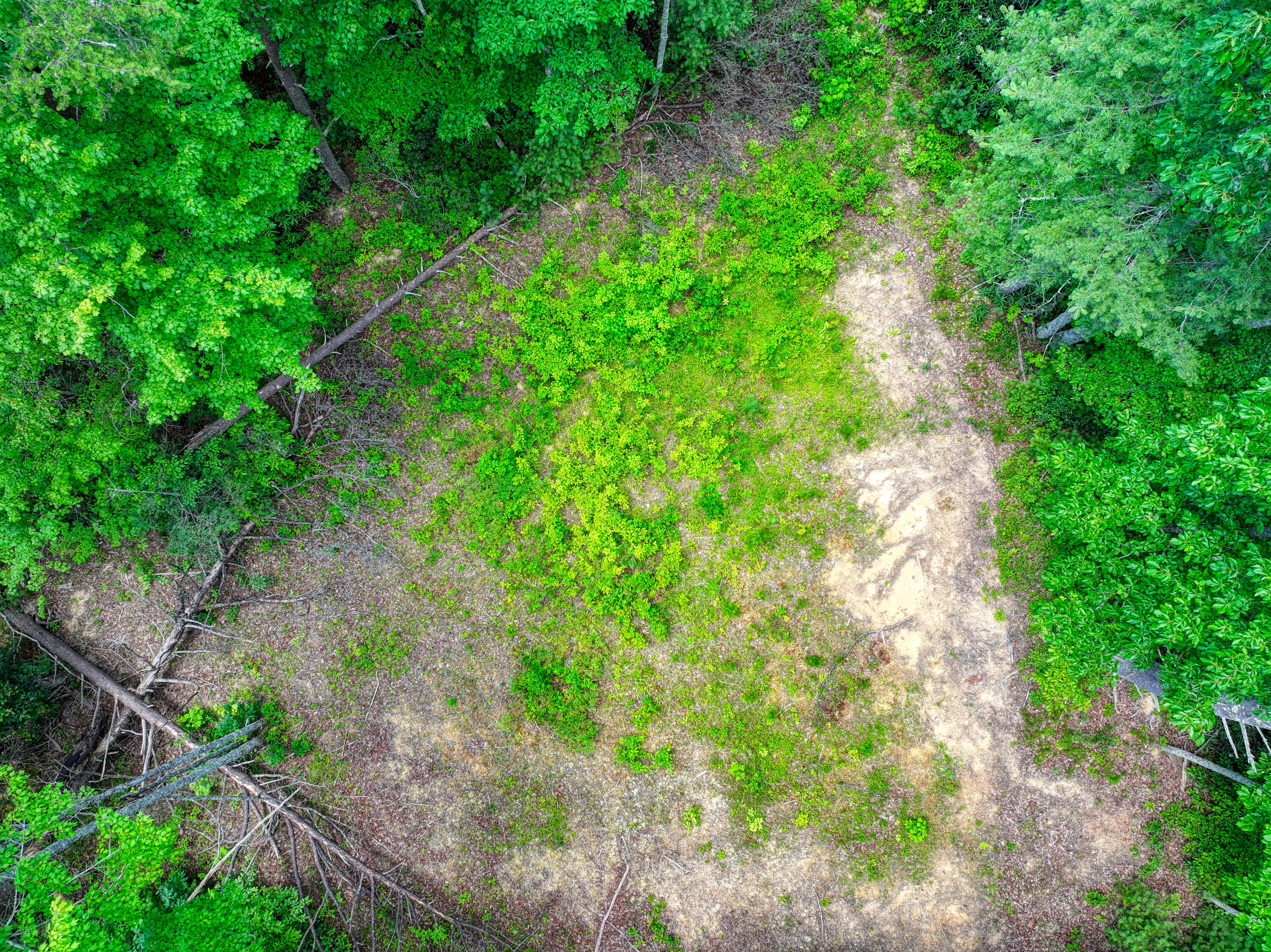 Lot 10 Newcombe Branch Road Road