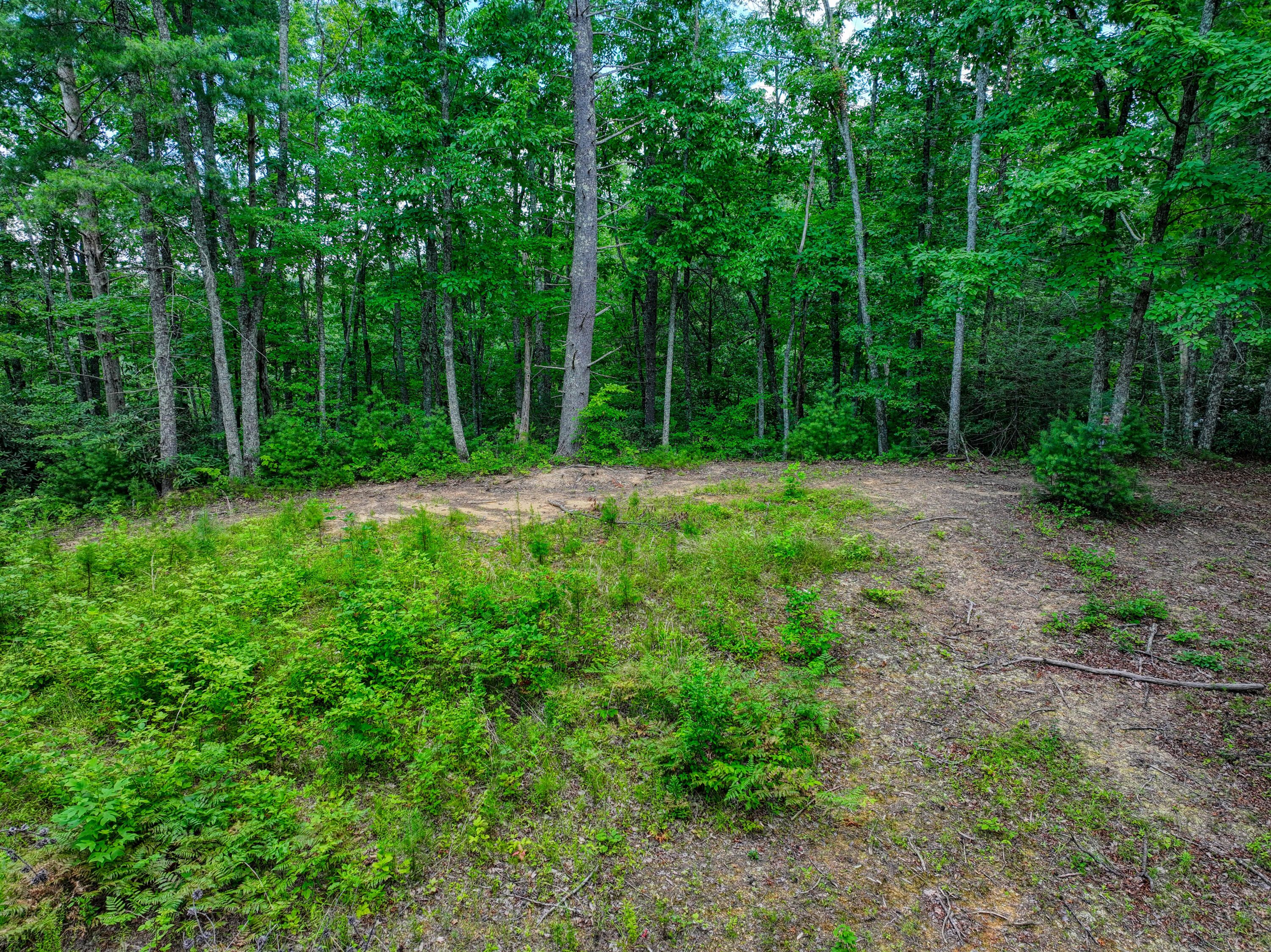 Lot 10 Newcombe Branch Road Road