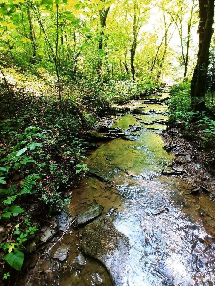 Lot 10 Newcombe Branch Road Road