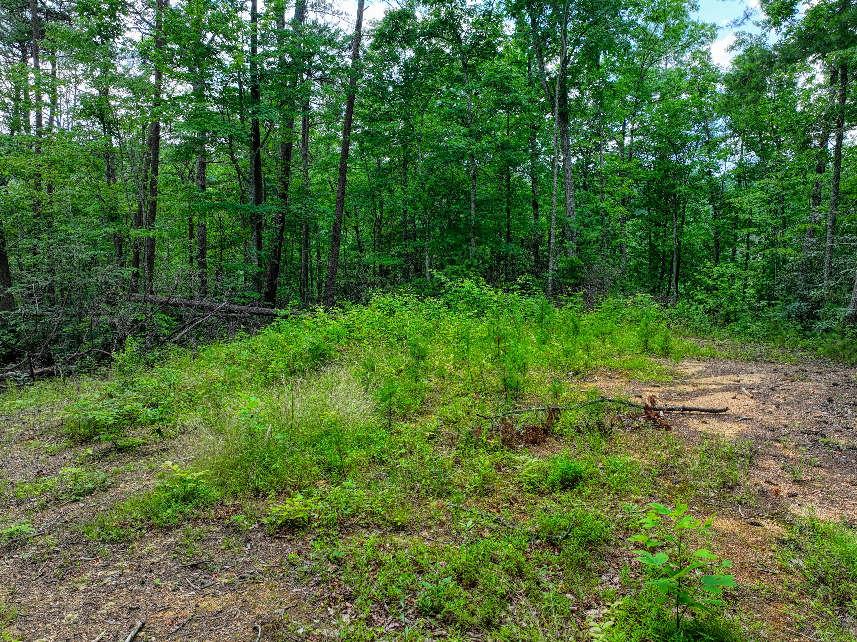 Lot 10 Newcombe Branch Road Road