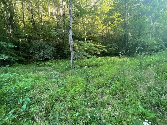 Lot 10 Newcombe Branch Road Road