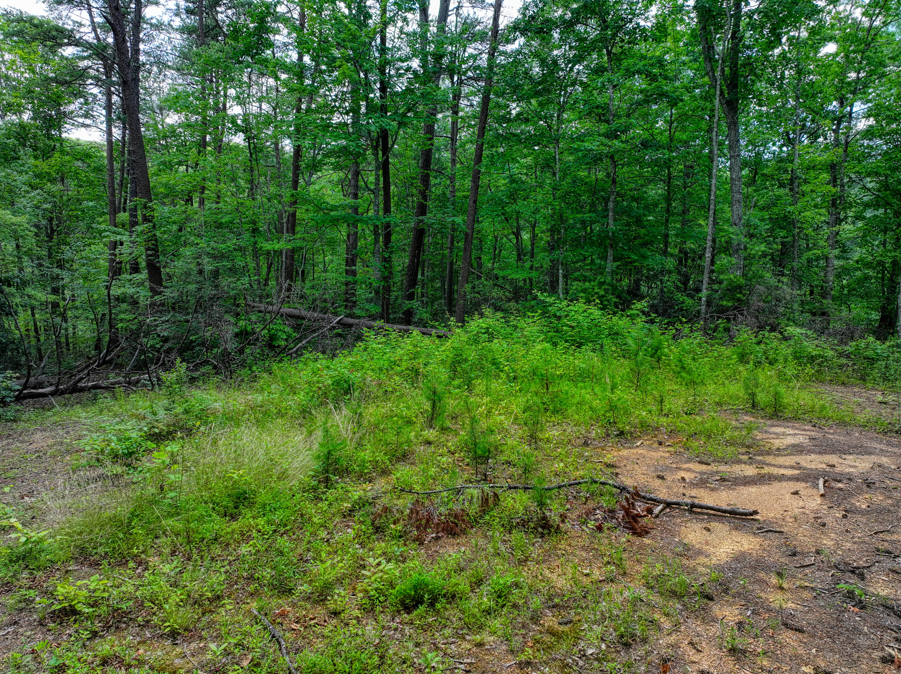 Lot 10 Newcombe Branch Road Road